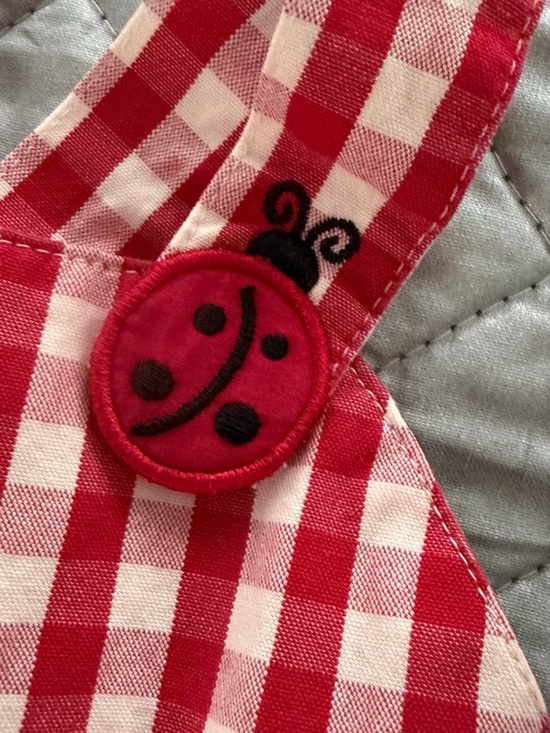 Gymboree Red and White Gingham Baby Romper with Ladybug Button - Picture 2 of 4